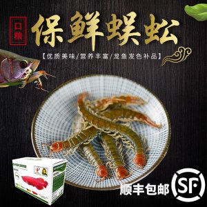 龍魚口糧：龍魚口糧選擇對其生長、健康和飼養(yǎng)難度都有重要影響