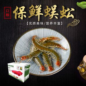 龍魚口糧：龍魚口糧選擇對其生長、健康和飼養(yǎng)難度都有重要影響