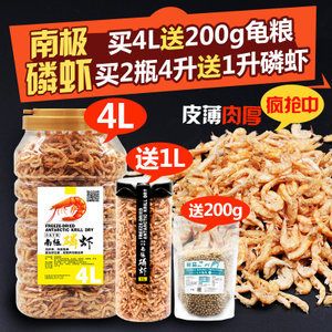 金龍魚喂南極磷蝦：龍魚可以喂南極磷蝦,磷蝦是一種干蝦， 龍魚百科 第3張