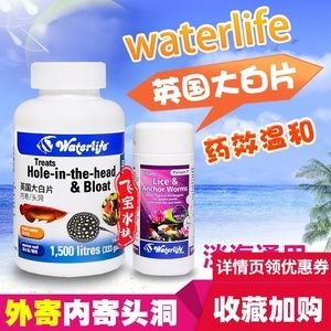 龍魚專用藥是什么藥?。糊堲~專用藥使用方法 龍魚百科 第2張