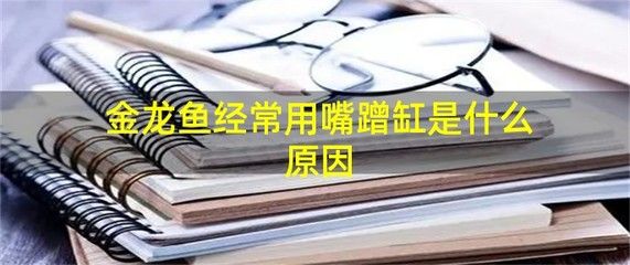 金龍魚躲在一個角落里不愛游動蹭缸：為什么金龍魚躲在一個角落里不愛游動？ 龍魚百科 第1張