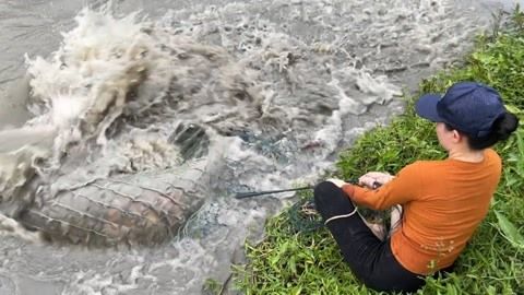 龍魚浮在水面不動(dòng)怎么回事：龍魚浮在水面不動(dòng)可能是由于水質(zhì)問題、飲食問題引起的 龍魚百科 第3張