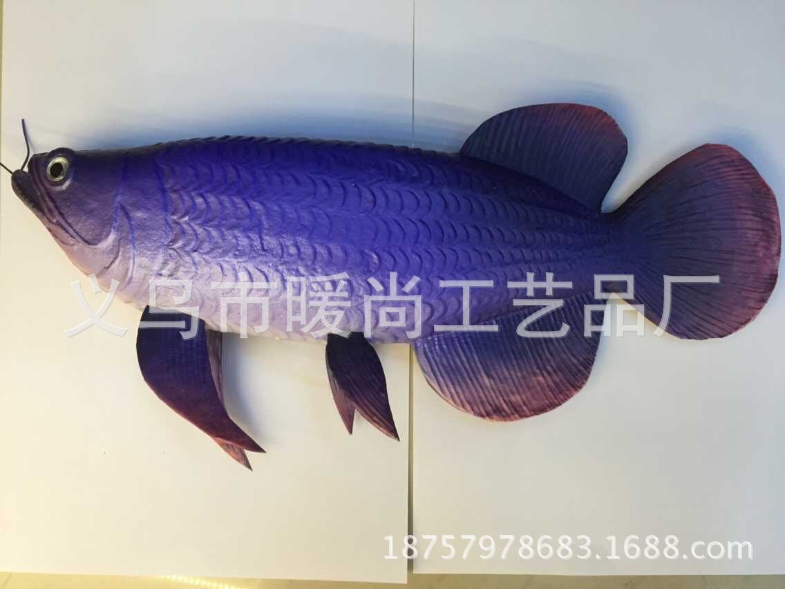 金龍魚翹嘴修理：\