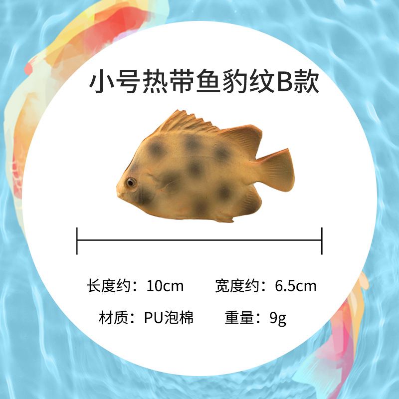 金龍魚翹嘴修理：\