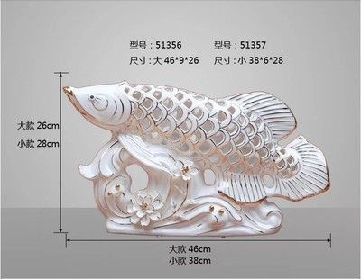 金龍魚規(guī)格型號：金龍魚常見規(guī)格型號 龍魚百科 第1張