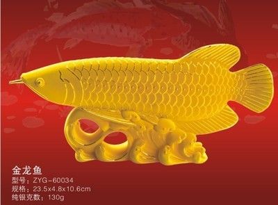 金龍魚規(guī)格型號：金龍魚常見規(guī)格型號 龍魚百科 第3張