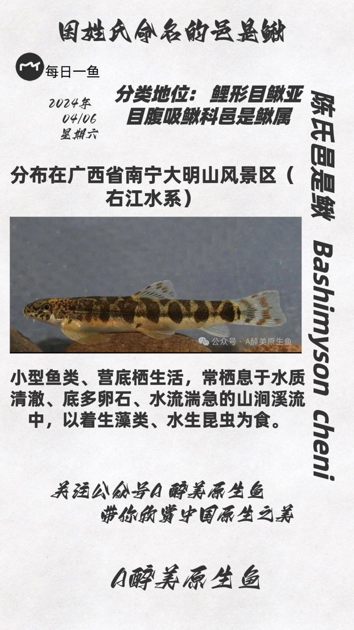 金龍魚餌料好用不好用：金龍魚餌料的好壞因人而異， 龍魚百科