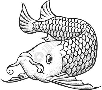 有龍魚的成語是什么：關(guān)于帶有“龍魚”的成語是什么，有龍魚的成語是什么 龍魚百科 第3張