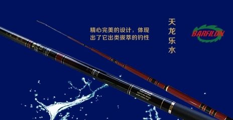 飛龍魚(yú)竿評(píng)測(cè)：寶飛龍魚(yú)竿評(píng)測(cè) 龍魚(yú)百科 第2張