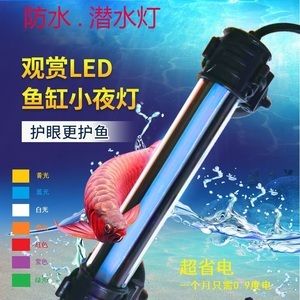 龍魚燈在水里好還是不在水里好：水中燈在龍魚飼養(yǎng)中占有重要地位 龍魚百科 第3張