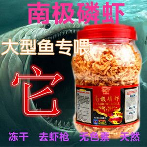 龍魚喂蝦干好嗎：龍魚喂蝦干好嗎龍魚喂蝦干好嗎，龍魚喂蝦干好嗎 龍魚百科 第1張