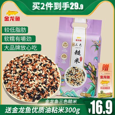 金龍魚主食：金龍魚的谷薯雜糧米怎么樣？