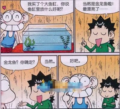 介紹金龍魚的做法作文英語：如何制作一道美味的金龍魚菜肴 龍魚百科 第3張