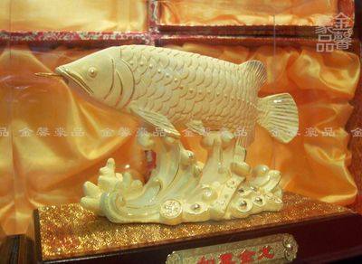 黃金金龍魚要多少元一條：買黃金金龍魚要多少元一條黃金金龍魚要多少一條