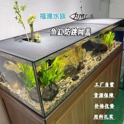 龍魚跳魚缸說明什么道理：龍魚跳魚缸說明了什么道理 龍魚百科 第1張