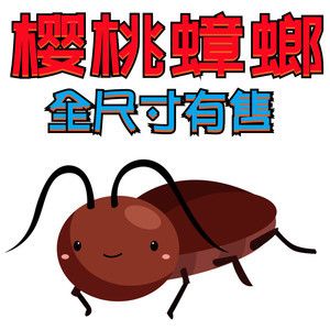 可以和龍魚(yú)一起養(yǎng)的龜：烏龜與龍魚(yú)一起養(yǎng)的注意事項(xiàng)