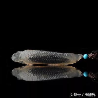 金龍魚作者：《金龍魚背后的糧油帝國》書籍和電子書相關(guān)的故事