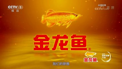 金龍魚的故事：金龍魚的故事搜索結果中并未給出相關信息 龍魚百科 第1張