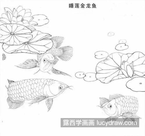 教我畫金龍魚怎么畫：教你畫金龍魚怎么畫金龍魚工筆畫法創(chuàng)意畫法步驟