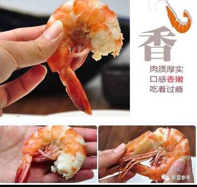 龍魚能喂熟蝦嗎怎么喂的：龍魚是否能喂食熟蝦，以及如何喂食熟蝦，一直是魚友們關心的話題 龍魚百科 第2張