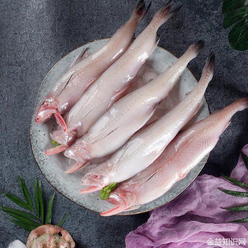 吃龍頭魚的好處：吃龍頭魚有哪些好處？