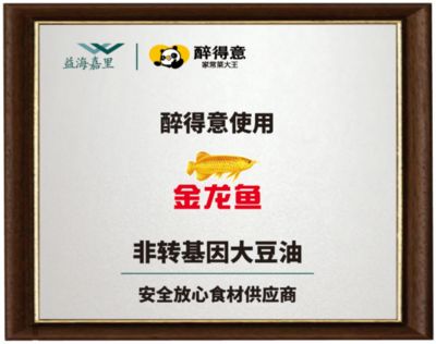 金龍魚(yú)可以吃嗎有毒嗎：金龍魚(yú)可以吃嗎