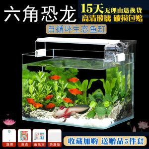 飼養(yǎng)龍魚用多大的缸：飼養(yǎng)龍魚用多大的缸具體尺寸以確保其正常生長(zhǎng)和健康