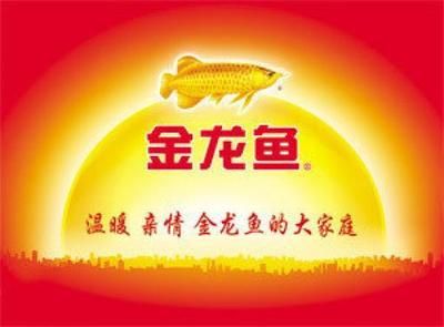 金龍魚都有什么崗位：金龍魚（益海嘉里金龍魚糧油食品股份有限公司）提供了多種不同崗位 龍魚百科 第1張