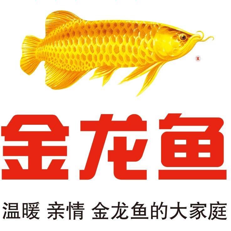 金龍魚都有什么崗位：金龍魚（益海嘉里金龍魚糧油食品股份有限公司）提供了多種不同崗位 龍魚百科 第2張