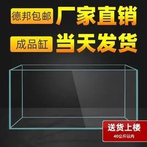 龍魚(yú)多大的缸合適：養(yǎng)龍魚(yú)需要考慮魚(yú)缸的尺寸 龍魚(yú)百科 第2張