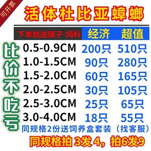 18厘米的龍魚(yú)要吃多少飼料：18厘米的龍魚(yú)喂食量是否合理