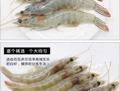 龍魚喂青蝦還是白蝦：探討龍魚喂食青蝦還是白蝦，龍魚喂青蝦還是白蝦的問題 龍魚百科 第2張