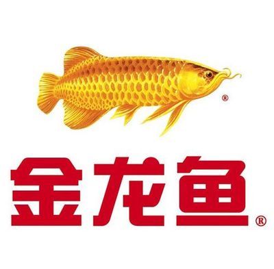 金龍魚logo設(shè)計理念：金龍魚logo設(shè)計理念, 龍魚百科 第2張