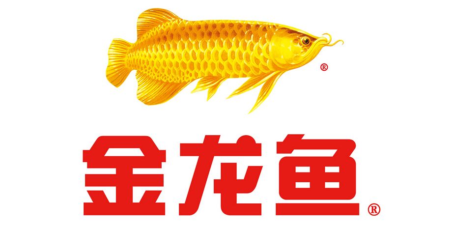 金龍魚logo設(shè)計(jì)理念：金龍魚logo設(shè)計(jì)理念,