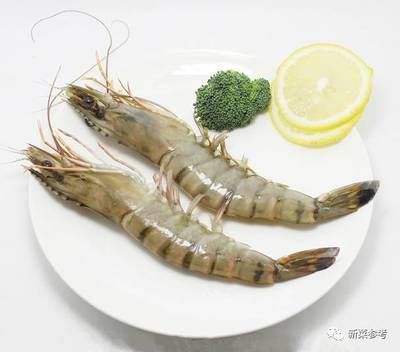 龍魚吃熟蝦：龍魚可以吃熟蝦嗎？ 龍魚百科 第2張