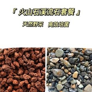 魚缸養(yǎng)龍魚放火山石可以嗎：養(yǎng)龍魚放火山石可以嗎 龍魚百科 第3張