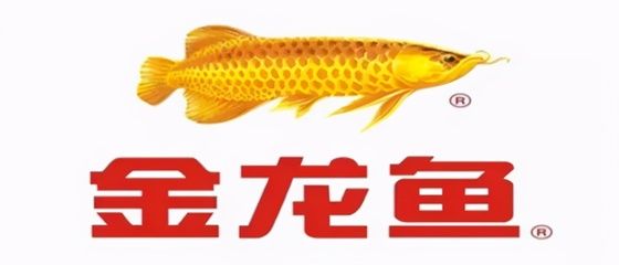 金龍魚(yú)吃蔬菜嗎：金龍魚(yú)不適合食用蔬菜嗎，金龍魚(yú)吃蔬菜嗎， 龍魚(yú)百科 第1張