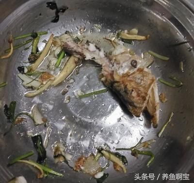 金龍魚(yú)好吃嗎能吃嗎：金龍魚(yú)好吃嗎？ 龍魚(yú)百科 第2張