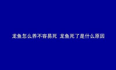 龍魚能撐死嗎為什么：龍魚不會(huì)因?yàn)閾问扯劳?，喂養(yǎng)過程中應(yīng)注意適量和營養(yǎng)均衡 龍魚百科 第3張