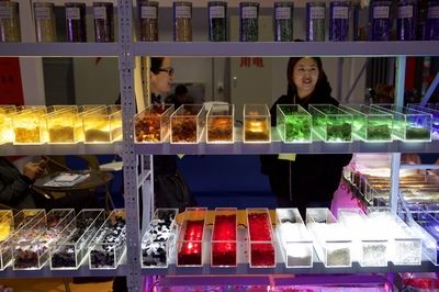 龍魚一年電費：關(guān)于龍魚一年的電費開銷 龍魚百科 第1張