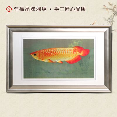 金龍魚(yú)掛畫(huà)魚(yú)頭朝向：金龍魚(yú)掛畫(huà)的魚(yú)頭應(yīng)該朝向東面 龍魚(yú)百科 第2張