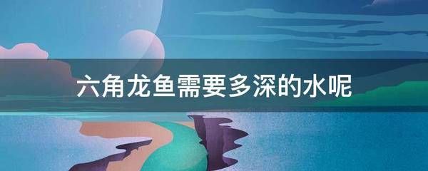 龍魚適合多深的水養(yǎng)魚：龍魚適合多深的水養(yǎng)魚呢？ 龍魚百科 第2張