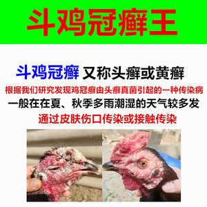 龍魚真菌感染治療方法：關(guān)于龍魚真菌感染的治療方法 龍魚百科 第1張