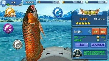 金龍魚可以釣到嗎：《天天釣魚》金龍魚可以釣到嗎，金龍魚可以釣到嗎