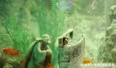 東海龍宮魚缸價(jià)格：東海龍宮文化探秘