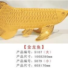 一米的缸養(yǎng)金龍魚可以長多大：金龍魚可以長到50厘米以上，但不會(huì)讓你的金龍魚長得更大 龍魚百科 第2張