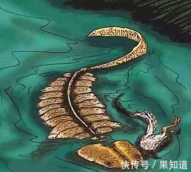 四條腿像龍的魚：您可能在尋找一種被稱為六角恐龍或墨西哥鈍口螈生物 龍魚百科 第3張