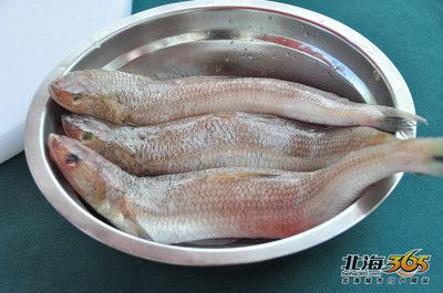 回龍魚是什么魚：回龍魚是一種體型較大、色彩斑斕、性格活潑的觀賞魚