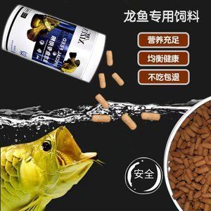 龍魚不吃魚糧怎么回事：龍魚不吃食怎么辦 龍魚百科 第2張