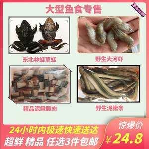 龍魚喂林蛙好不好：喂食林蛙給龍魚有一定的好處，如促進(jìn)生長和提供高質(zhì)量的蛋白質(zhì) 龍魚百科 第3張